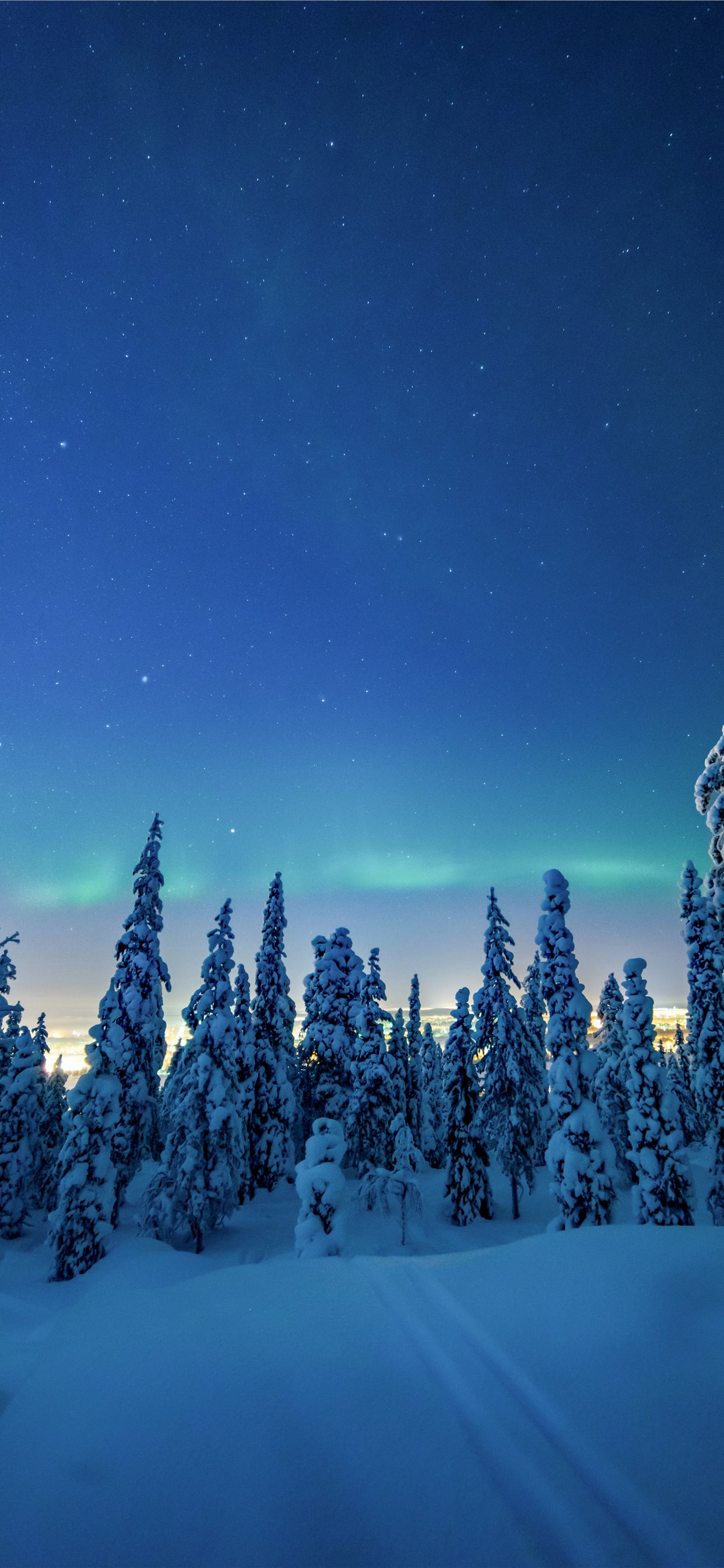 trees covered by white snow during daytime iPhone X Wallpaper Free Download