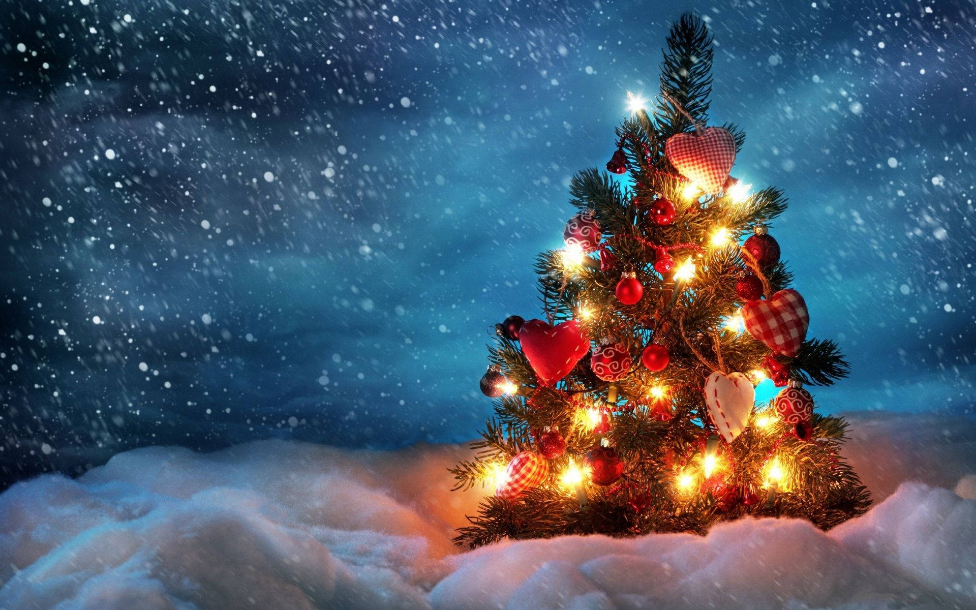 Download Small Christmas Tree On Snowy Night Wallpaper