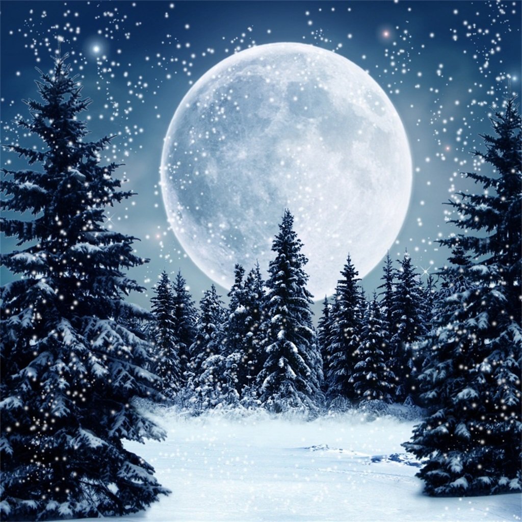 Amazon.com, AOFOTO 10x10ft Winter Snow Night Forest Background Fairytale Snowscape Pine Fir Trees Snowfall Full Moon Snowing Christmas Eve Photography Backdrop Xmas Party Kid Adult Family Photo Studio Props Vinyl