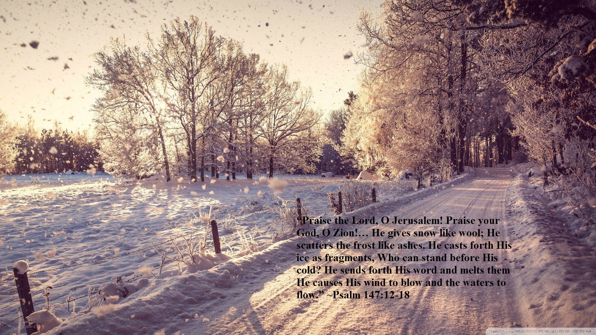 Bible Verse Background. Winter background, Winter wallpaper, Winter wonderland wallpaper
