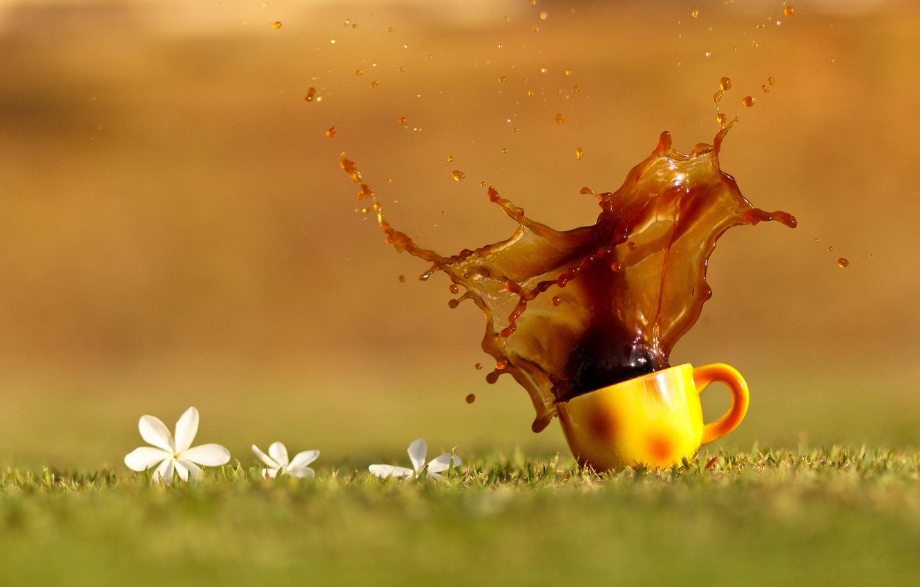 Wallpaper grass, drops, flowers, squirt, tea, coffee, orange, Cup, drink image for desktop, section макро
