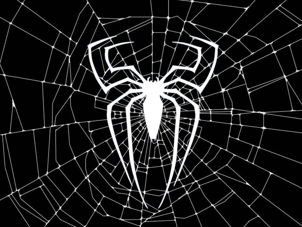 Black And White Spider Man Wallpaper Free Black And White Spider Man Background