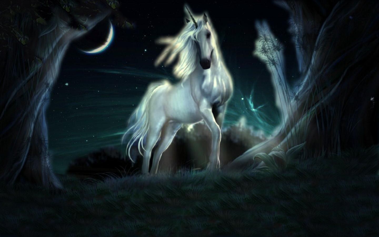 Unicorn Computer Wallpaper, Desktop Background 1440x900 Id: 288281. Mythical creatures, Unicorn wallpaper, Fantasy world