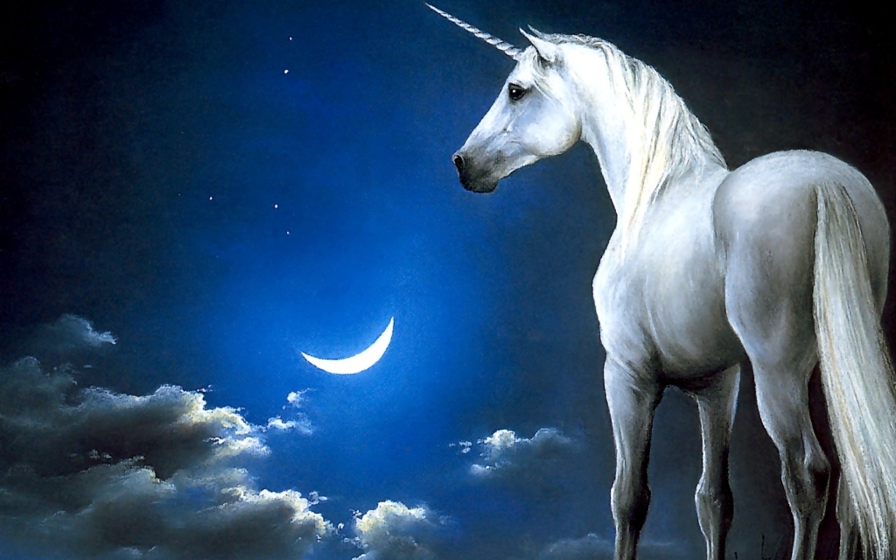 Unicorns Creatures Wallpaper