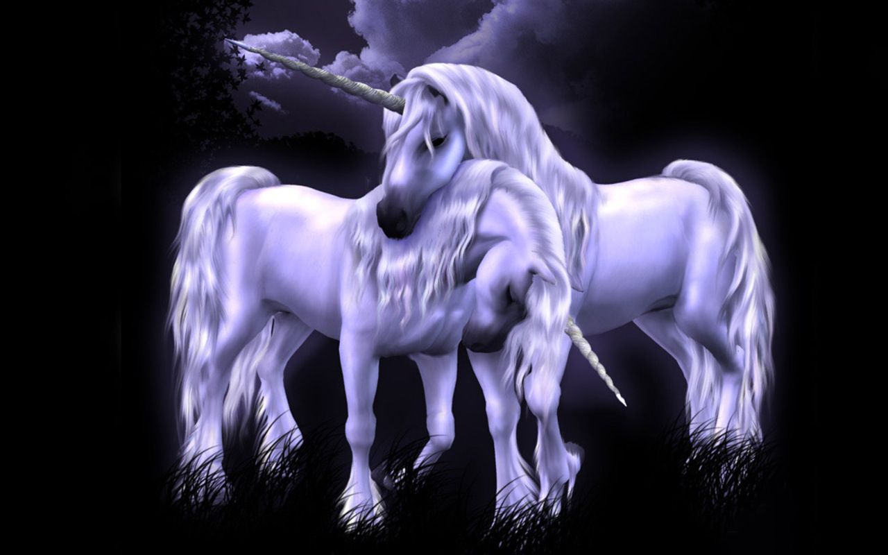 Magical Creatures Wallpaper: Unicorns. Unicorn wallpaper, Unicorn and fairies, Unicorn picture