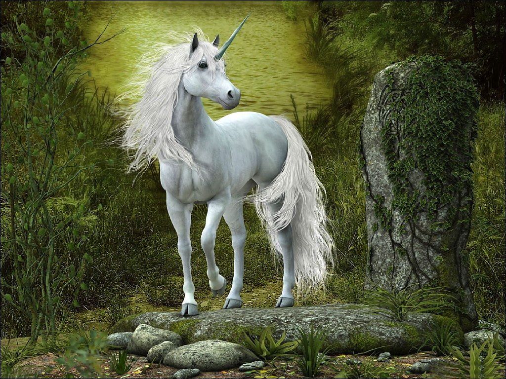 Real Unicorn Wallpaper