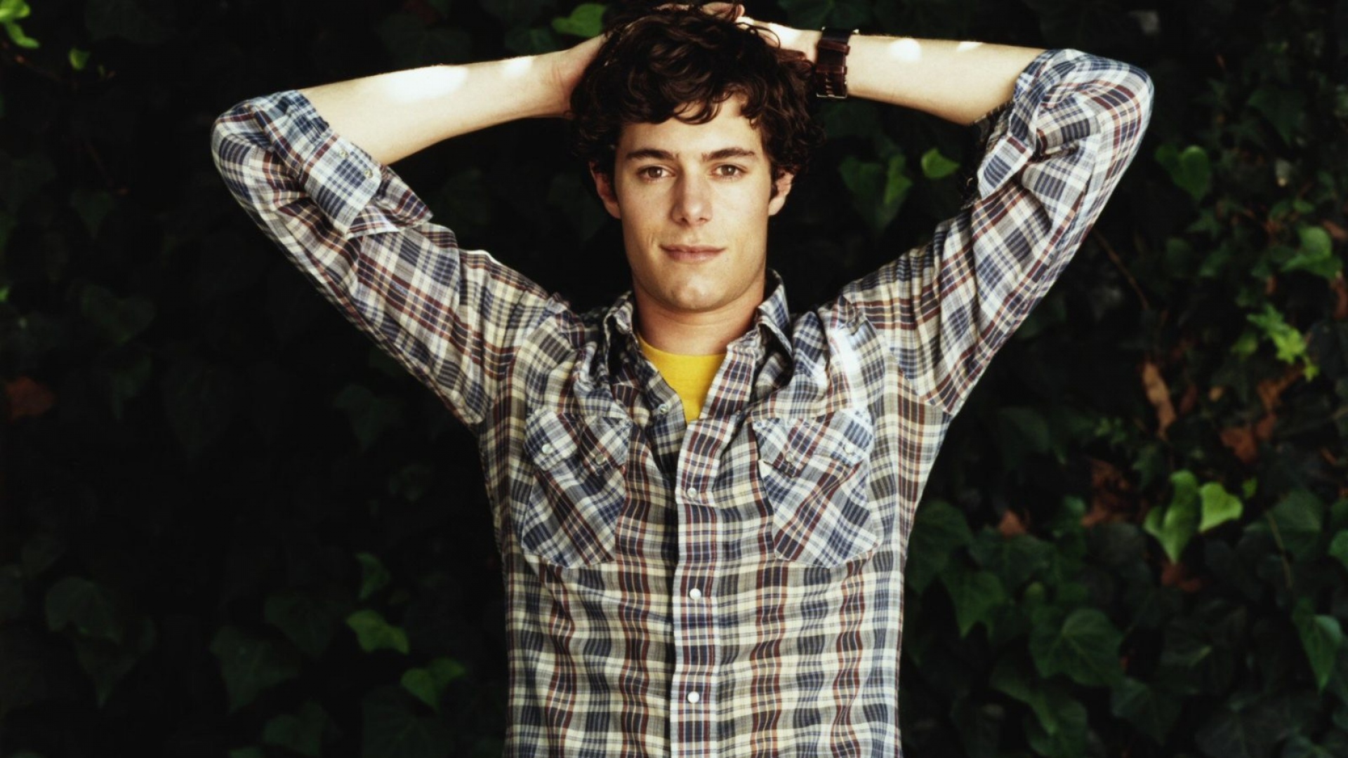 Download Wallpaper 1920x1080 Adam Brody, Dark Haired, Celebrity, Shirt, Hair Full HD 1080p HD Background