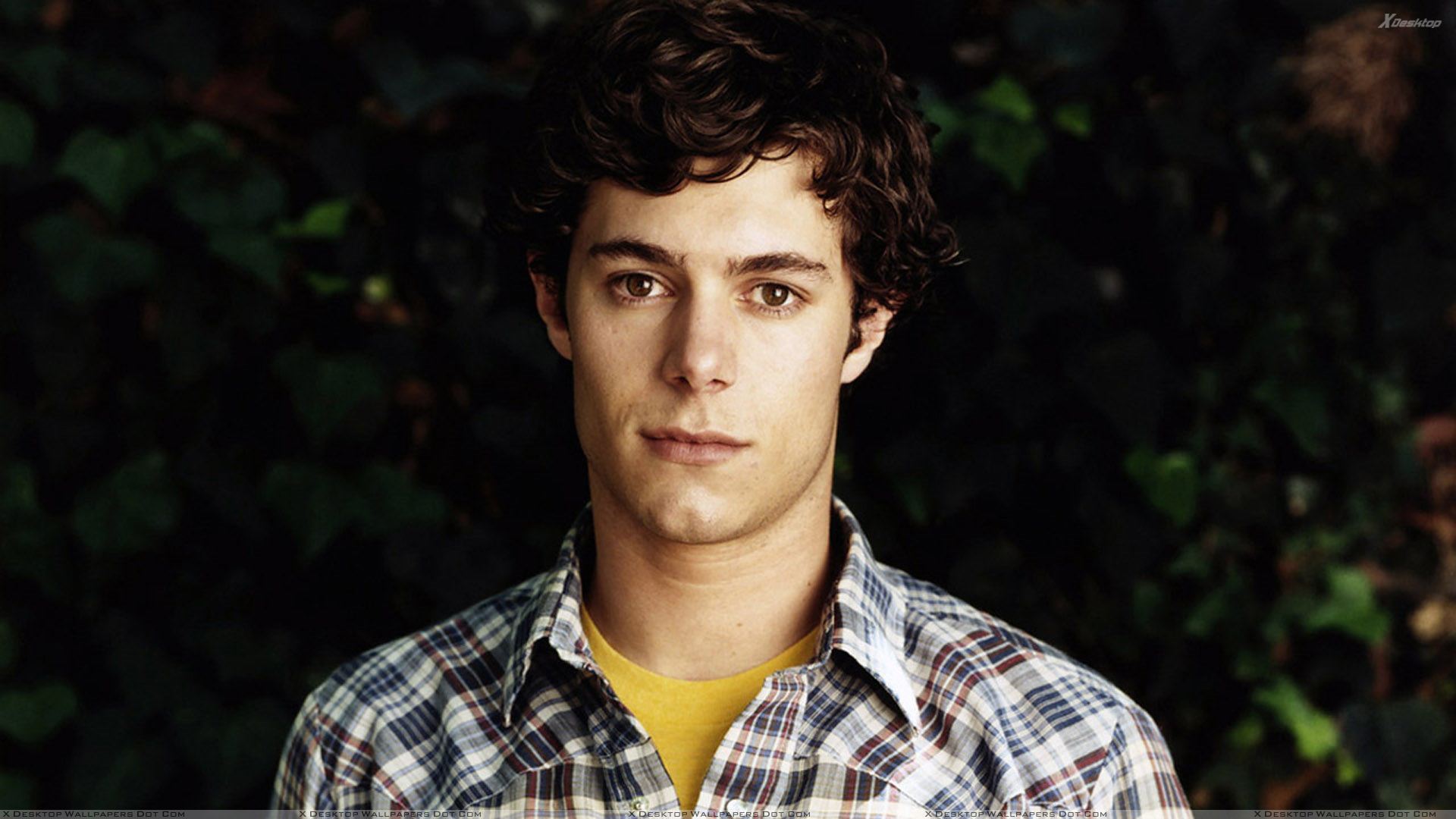 Adam Brody Looking At Camera In Check Shirt Wallpaper