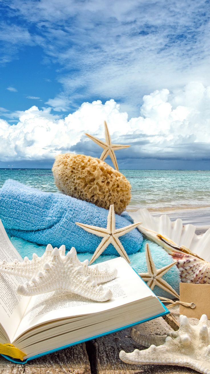 Summer Beach Book Seashells Sea Stars iPhone 6 Plus HD Wallpaper. iPhone Wallpaper. Summer beach wallpaper, Summer wallpaper, Wallpaper iphone summer