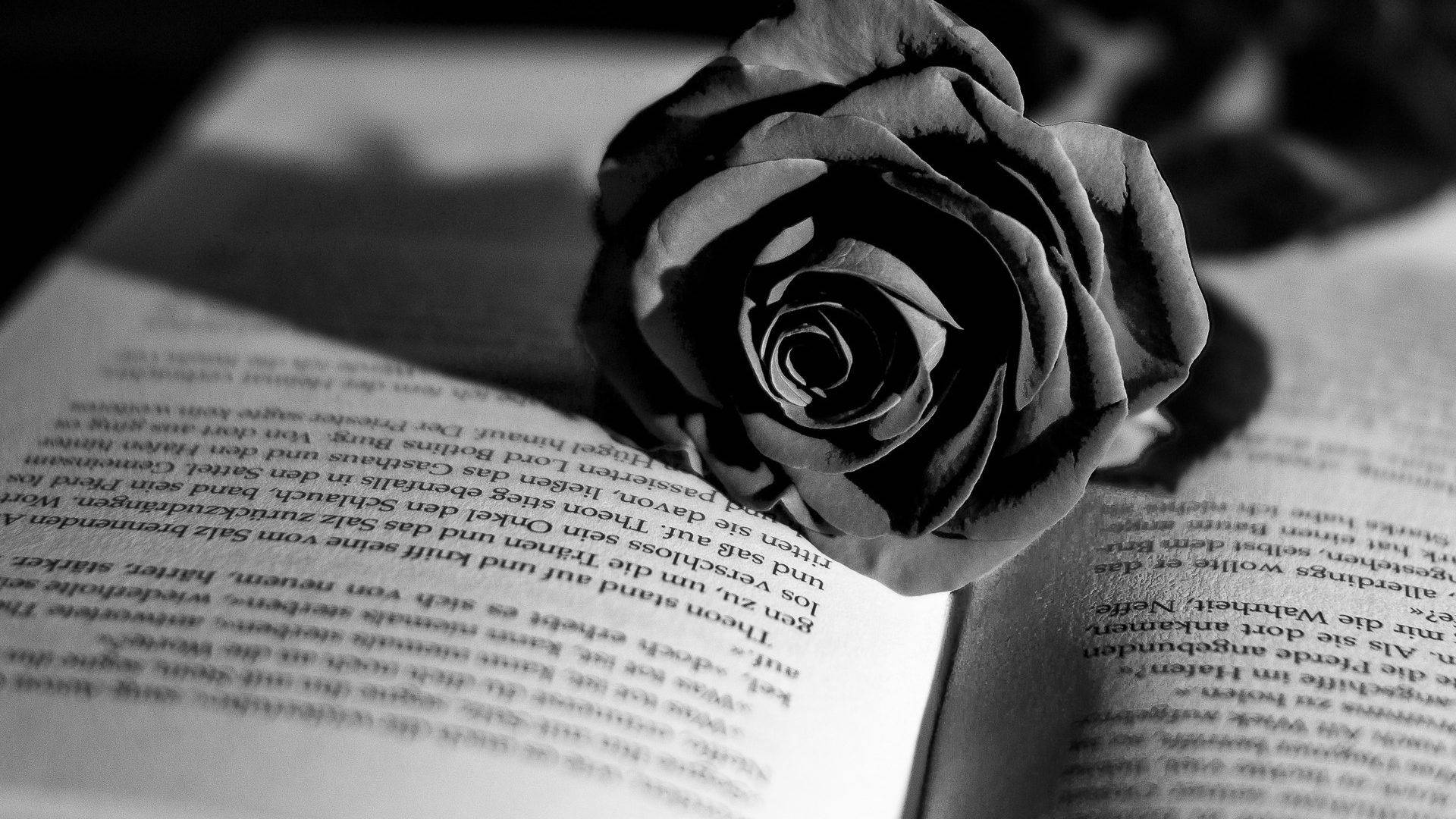 Download Dark Floral Rose On Book Wallpaper