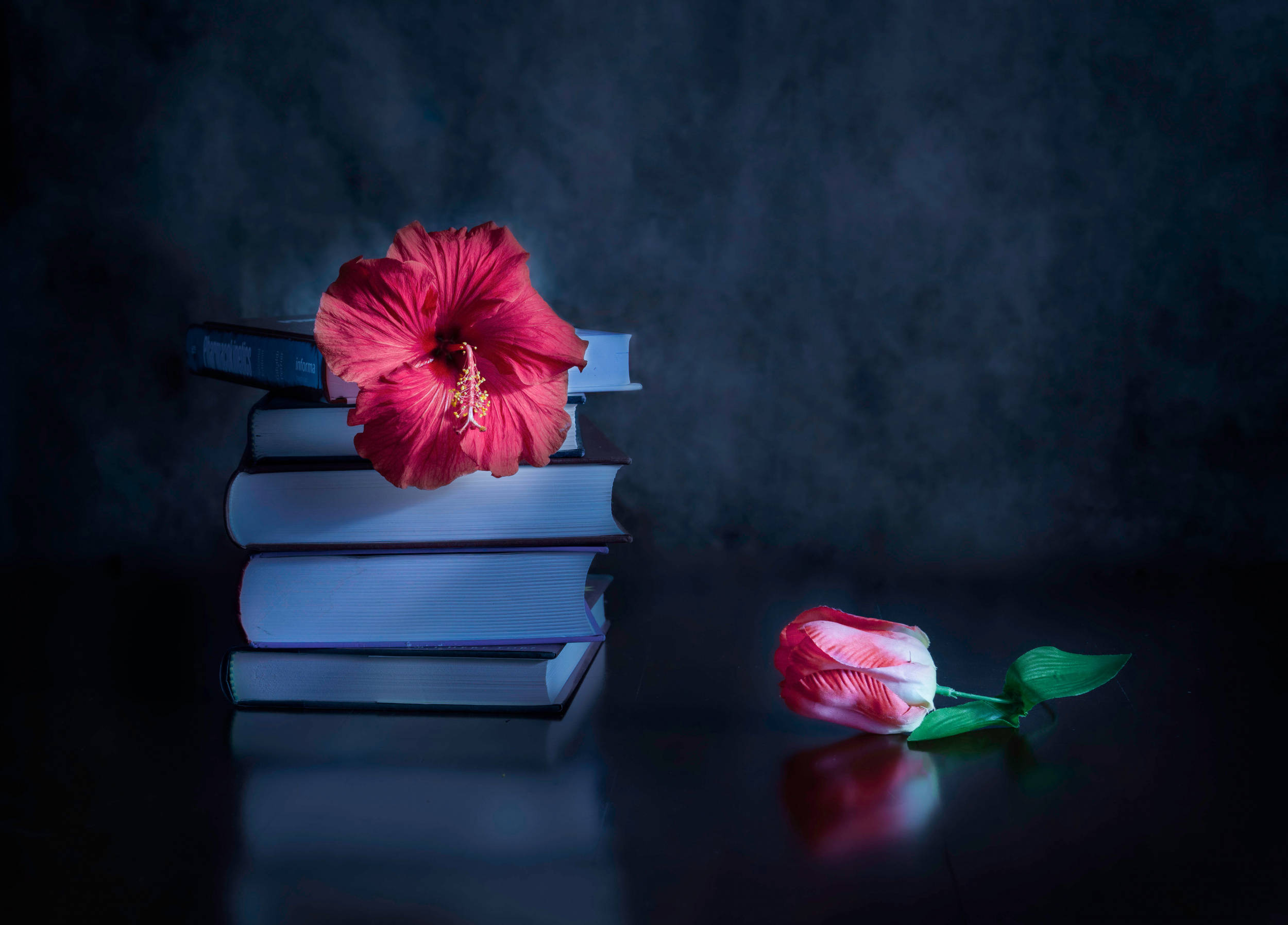 Download Dark Pink Floral And Books Wallpaper