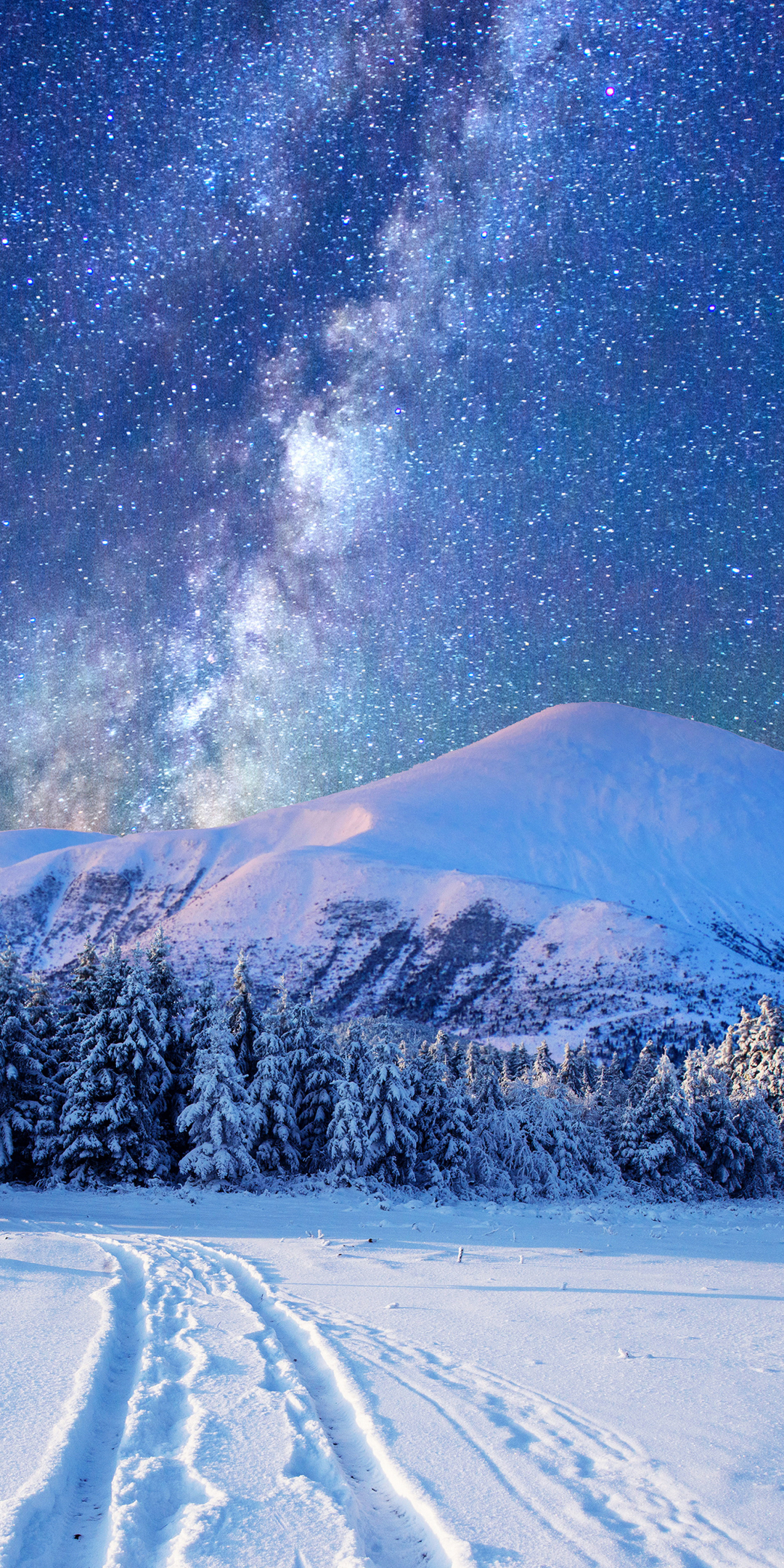 Starry Sky over Winter Landscape