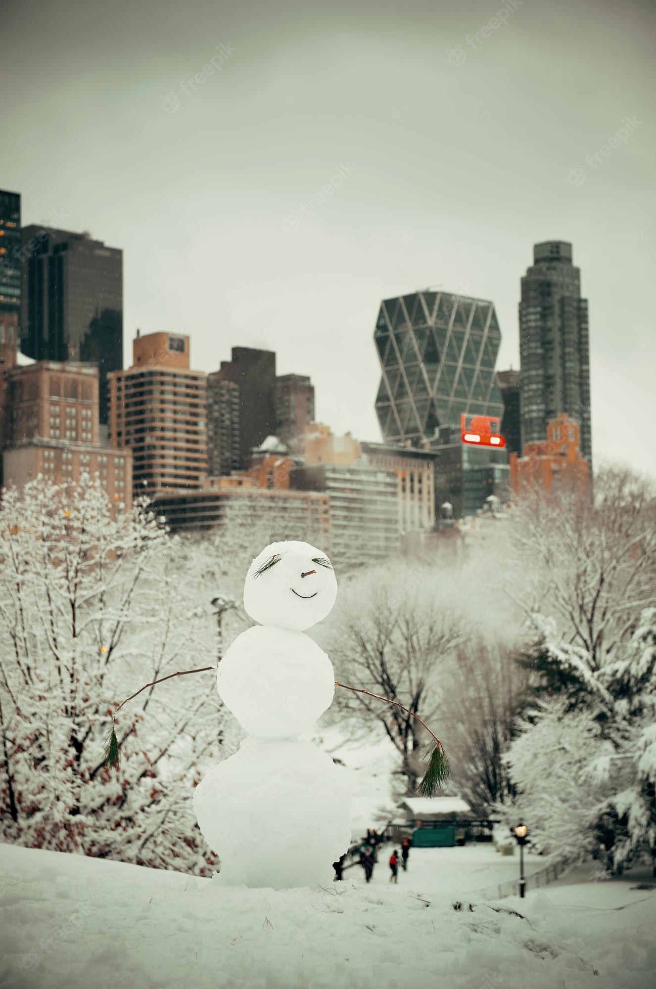 New york snow Image. Free Vectors, & PSD