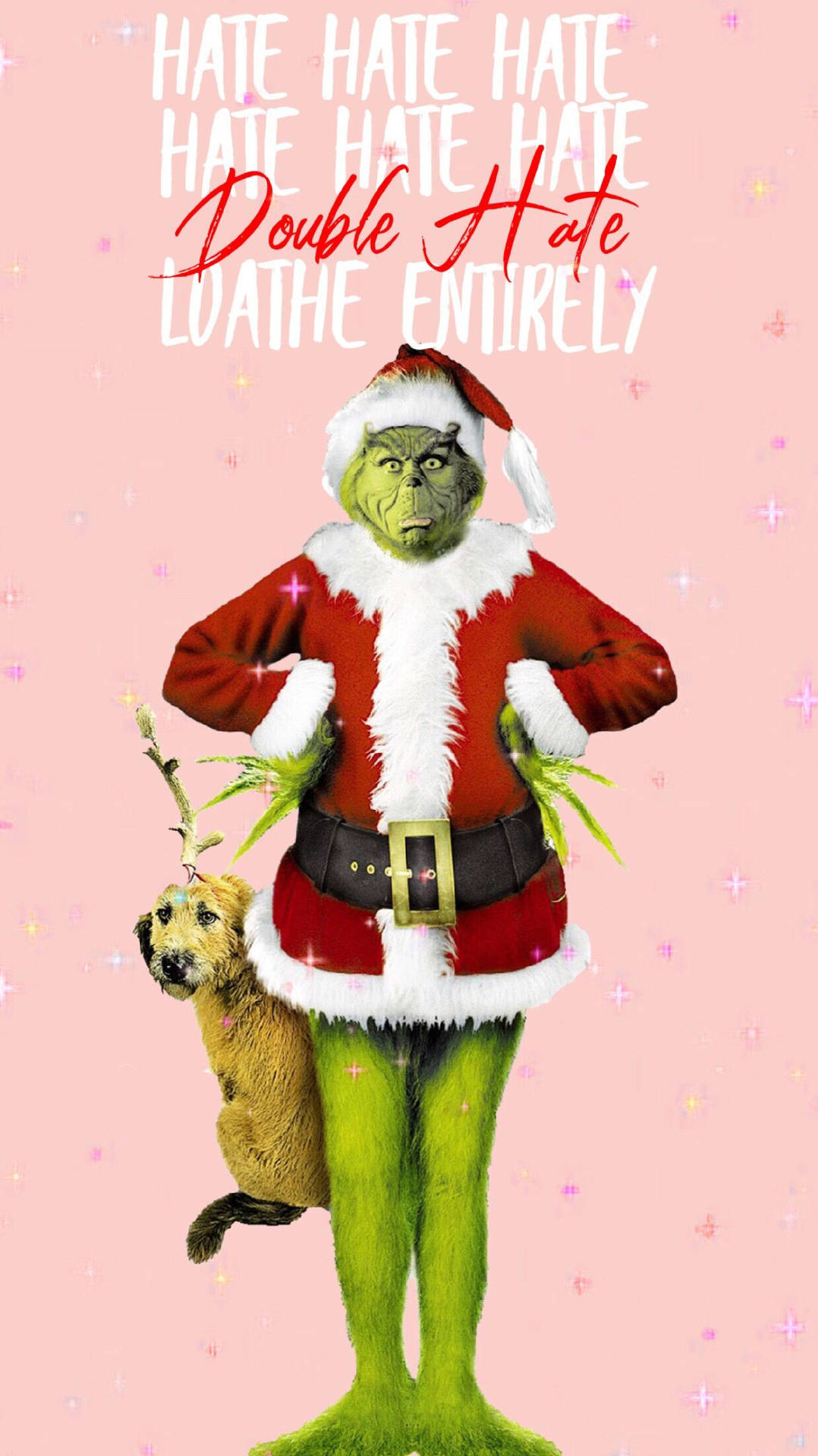 Download Grinch And Dog Double Hate Quotes Wallpaper