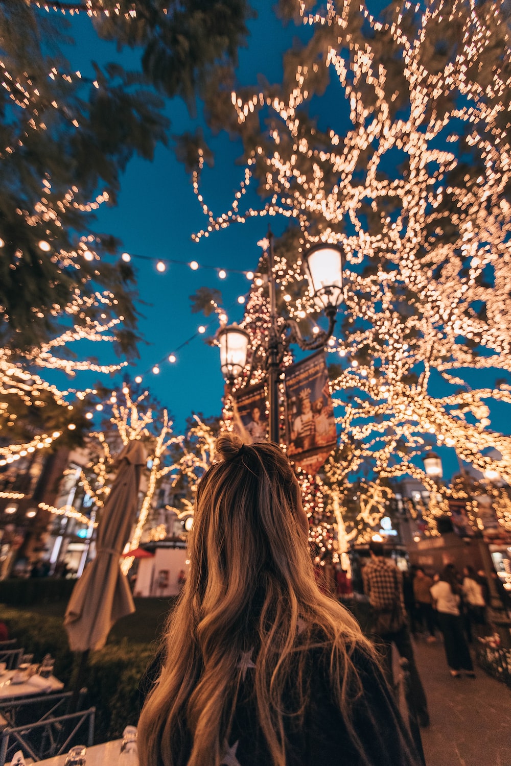 Holiday Lights Picture. Download Free Image