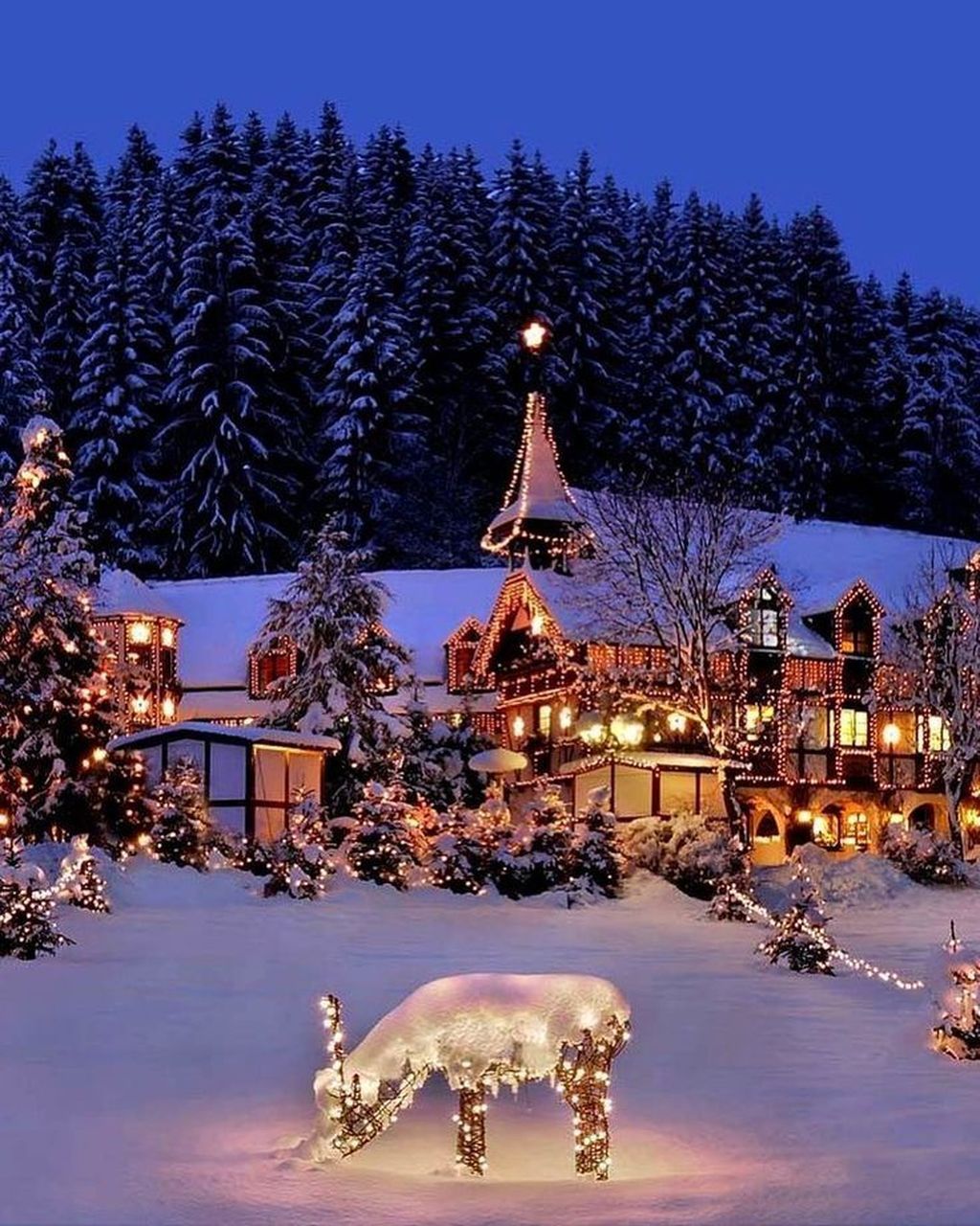 Beautiful Winter Wonderland Lighting Ideas For Outdoor And Indoor Decor. Рождественские пейзажи, Зимние сцены, Зимние картинки