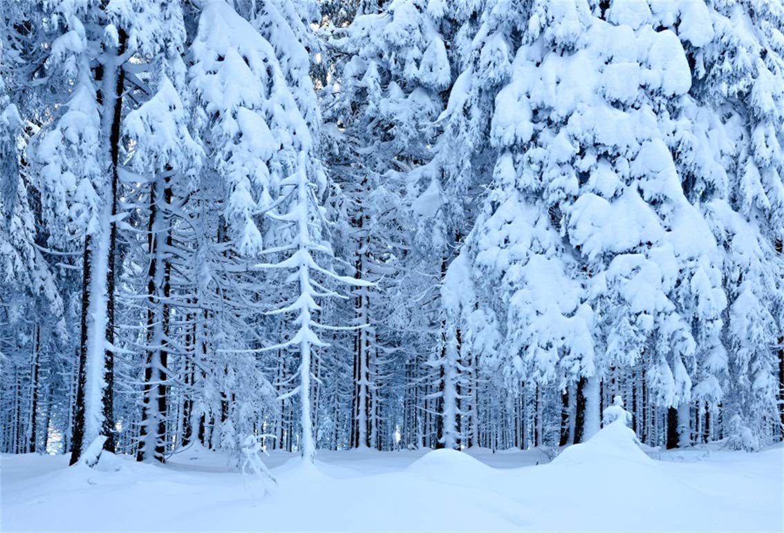 Amazon.com, CSFOTO 8x6ft Background for Frozen Heavy Snow on Trees Winter Forest Photography Backdrop Snow Covered Woods White World Cold Outdoors Nature Scene Vacation Photo Studio Props Vinyl Wallpaper