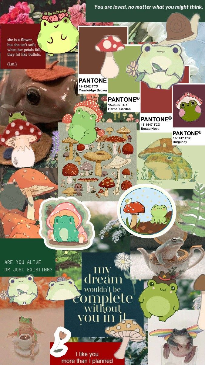 Cute frog aesthetic wallpaper collage!. Frog species, Cute frogs, Frog