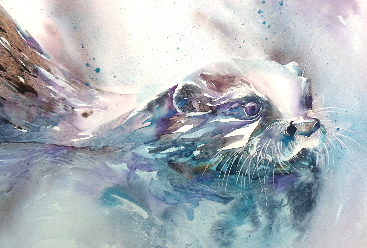 Wallpaper Animals Pictorial art Painting Art Eurasian otter