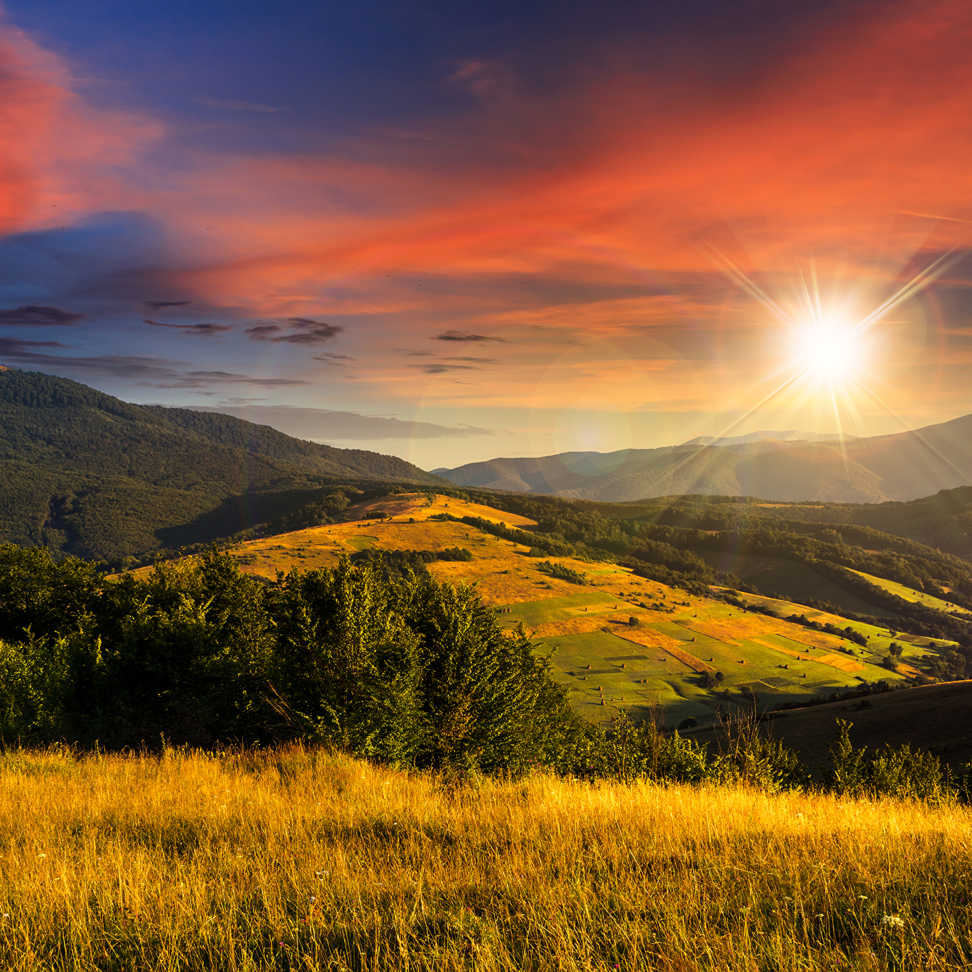 Wallpaper Sun Autumn Nature Sky Fields Sunrises and 1920x1920