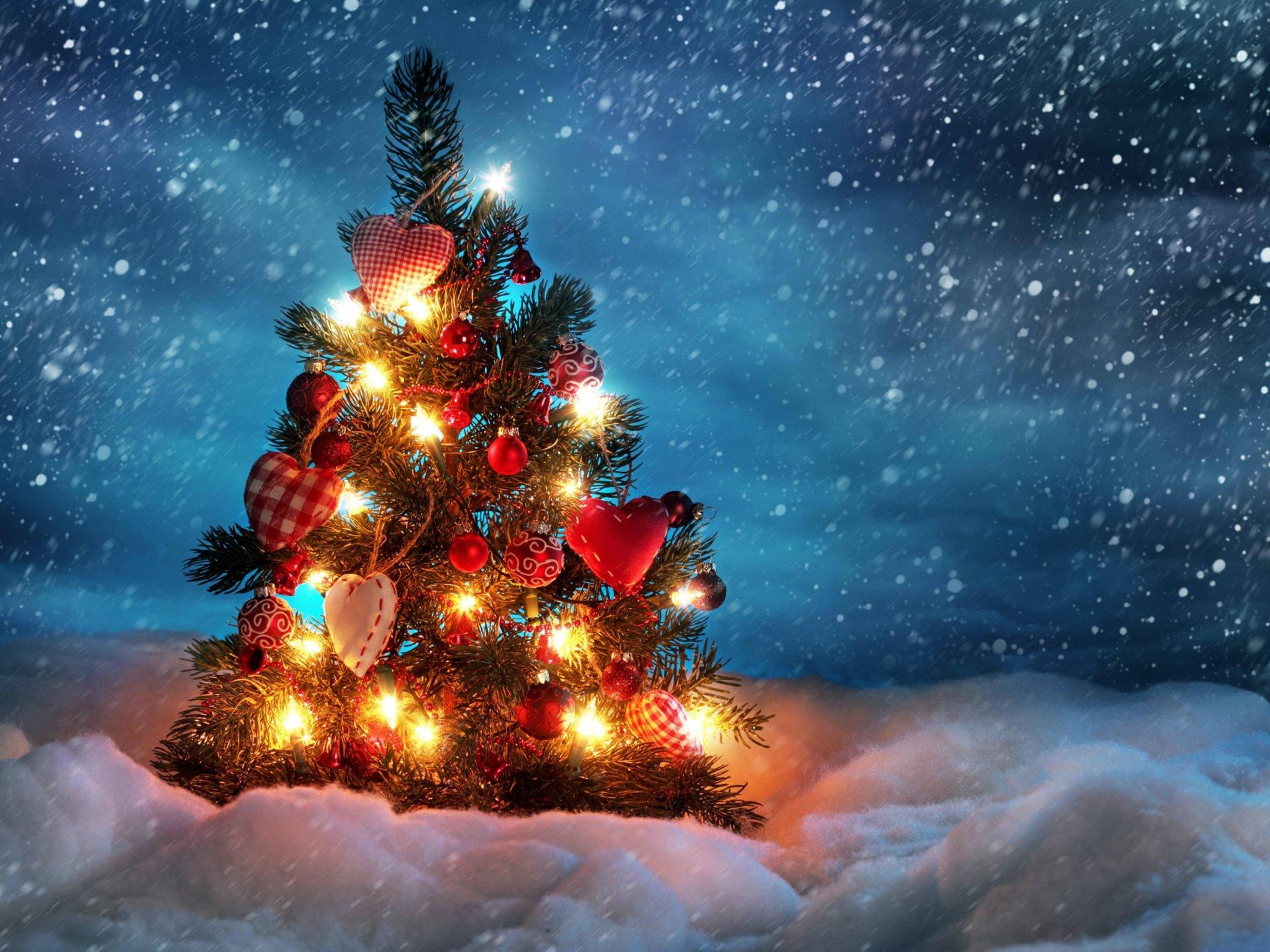 Download 4k Ultra HD Christmas Tree Winter Wallpaper