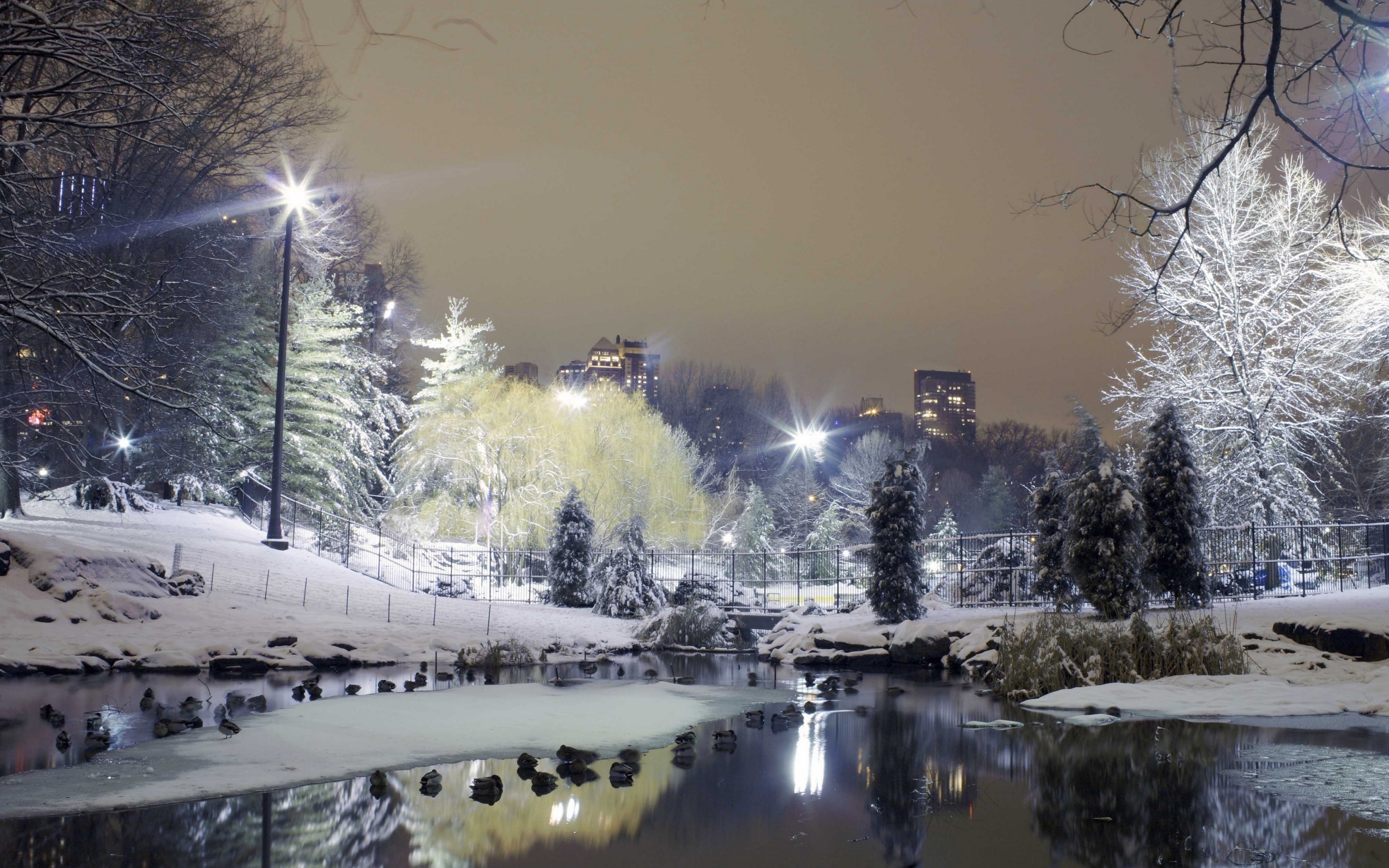 Wallpaper 4k city, park, trees, winter, snow, lights 4k Wallpaper