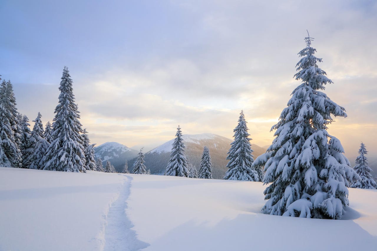 Winter background for your next virtual meeting
