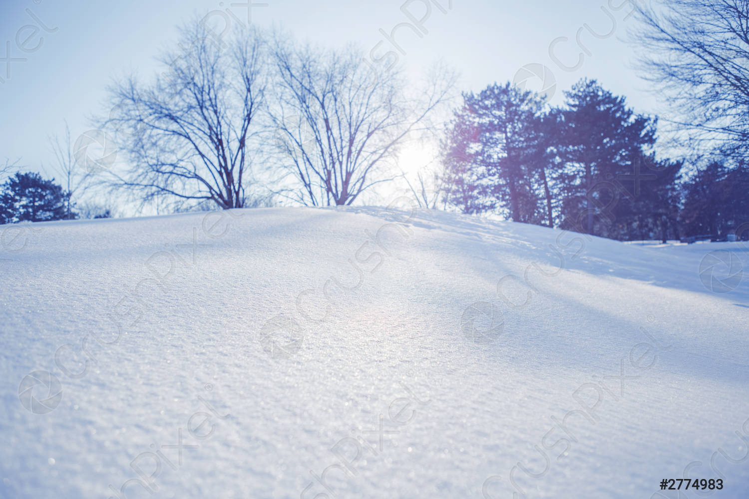 White snow winter landscape with trees background Christmas holiday backdrop