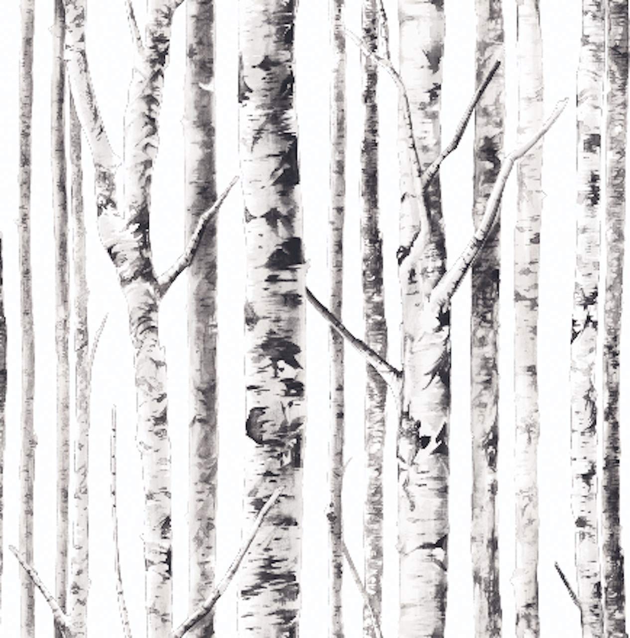 Birch Tree Removable Black and White Forest Peel and Stick Wallpaper Vinyl Waterproof Peelable Repositionable