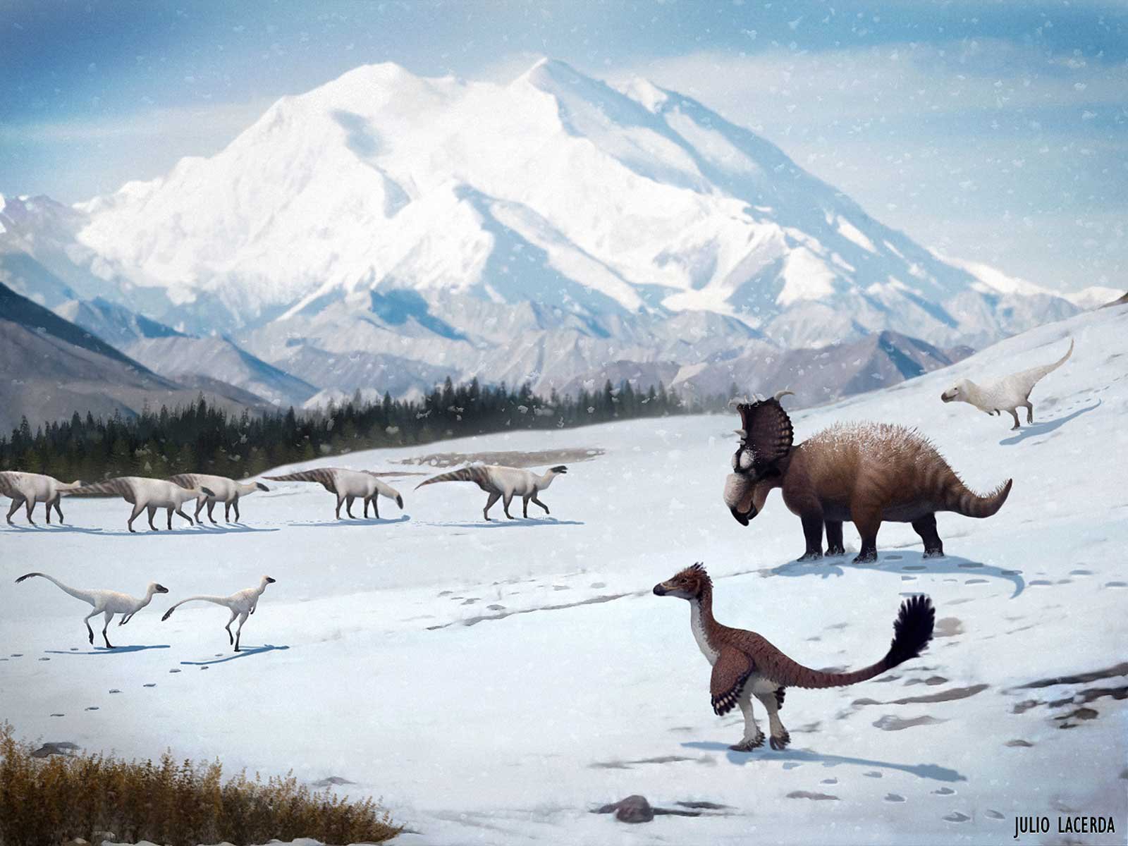 How Dinosaurs Thrived in the Snow. Science. Smithsonian Magazine