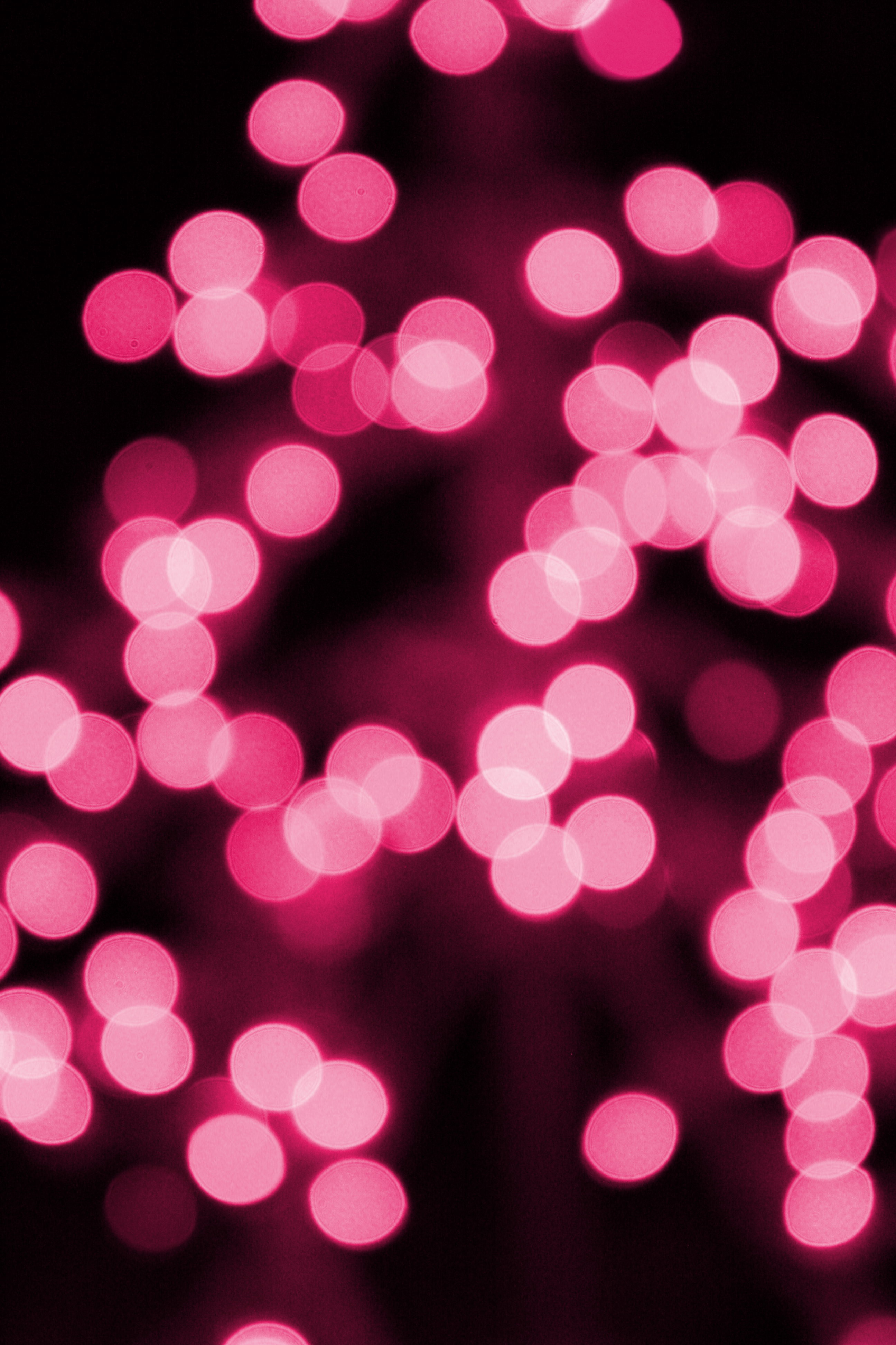 Pink Christmas Lights Picture. Free Photograph. Photo Public Domain