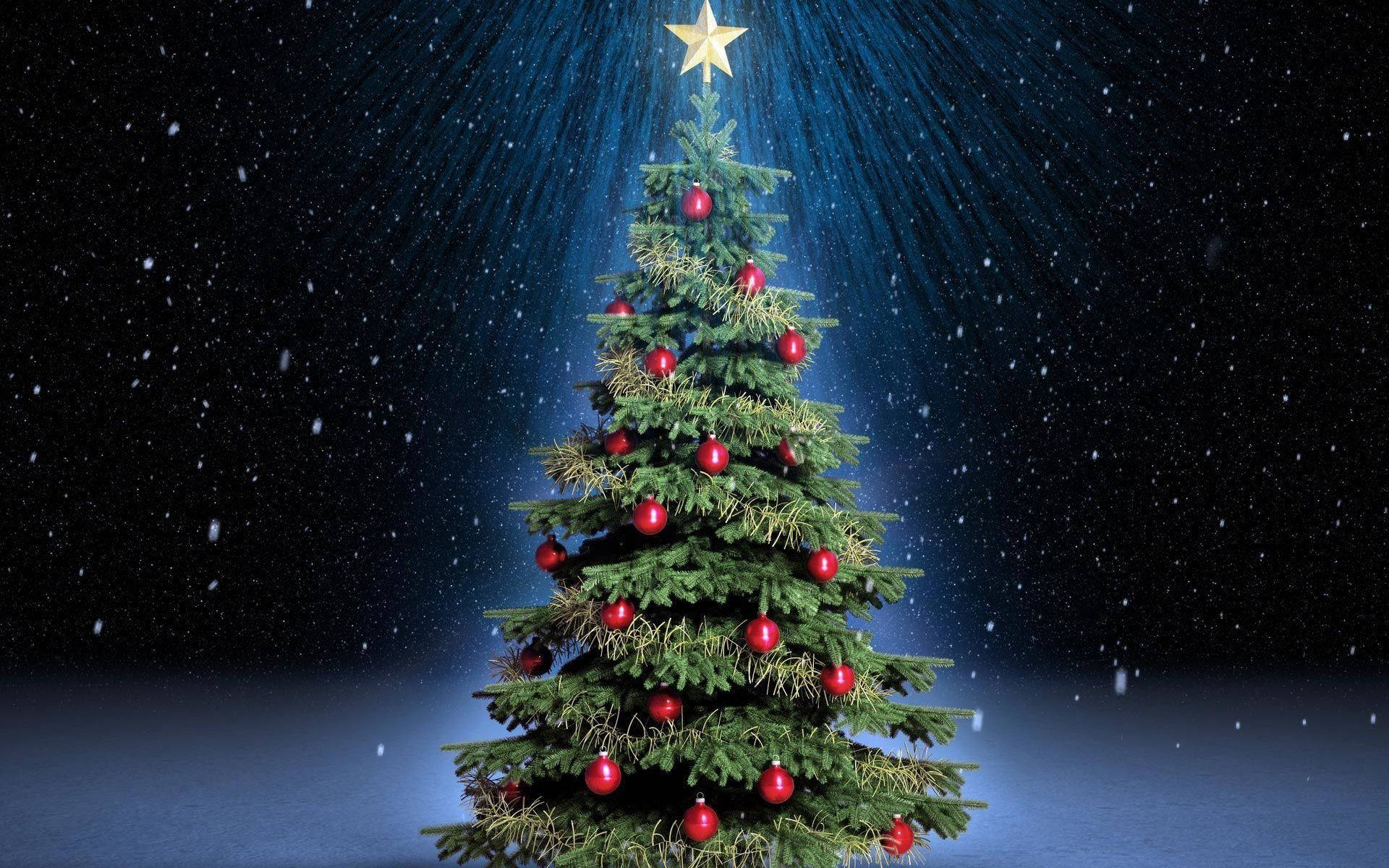 Download Glowing Christmas Tree Under Starry Sky Wallpaper