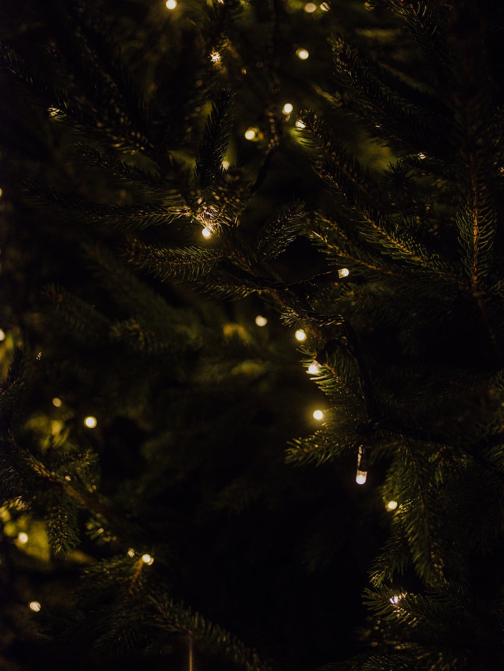 Christmas Tree Lights Picture. Download Free Image