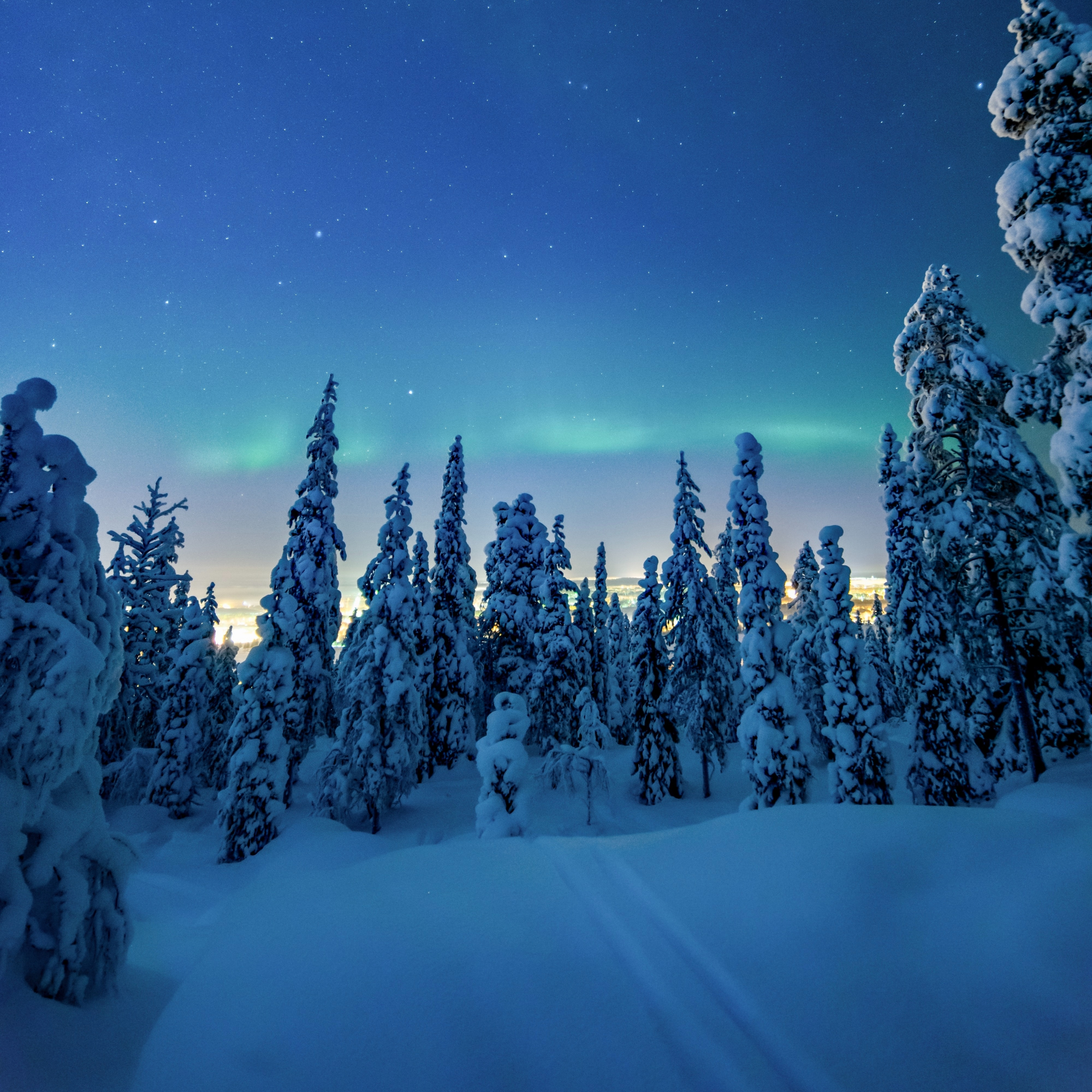 Download wallpaper 2932x2932 winter, dawn, colorful sky, trees, ipad pro retina, 2932x2932 HD background, 23743