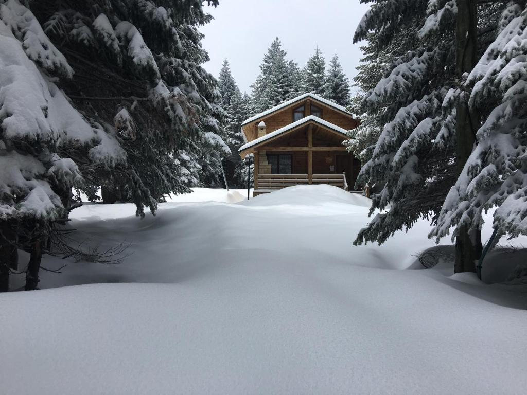 Uludag Orman Koskleri, Uludag