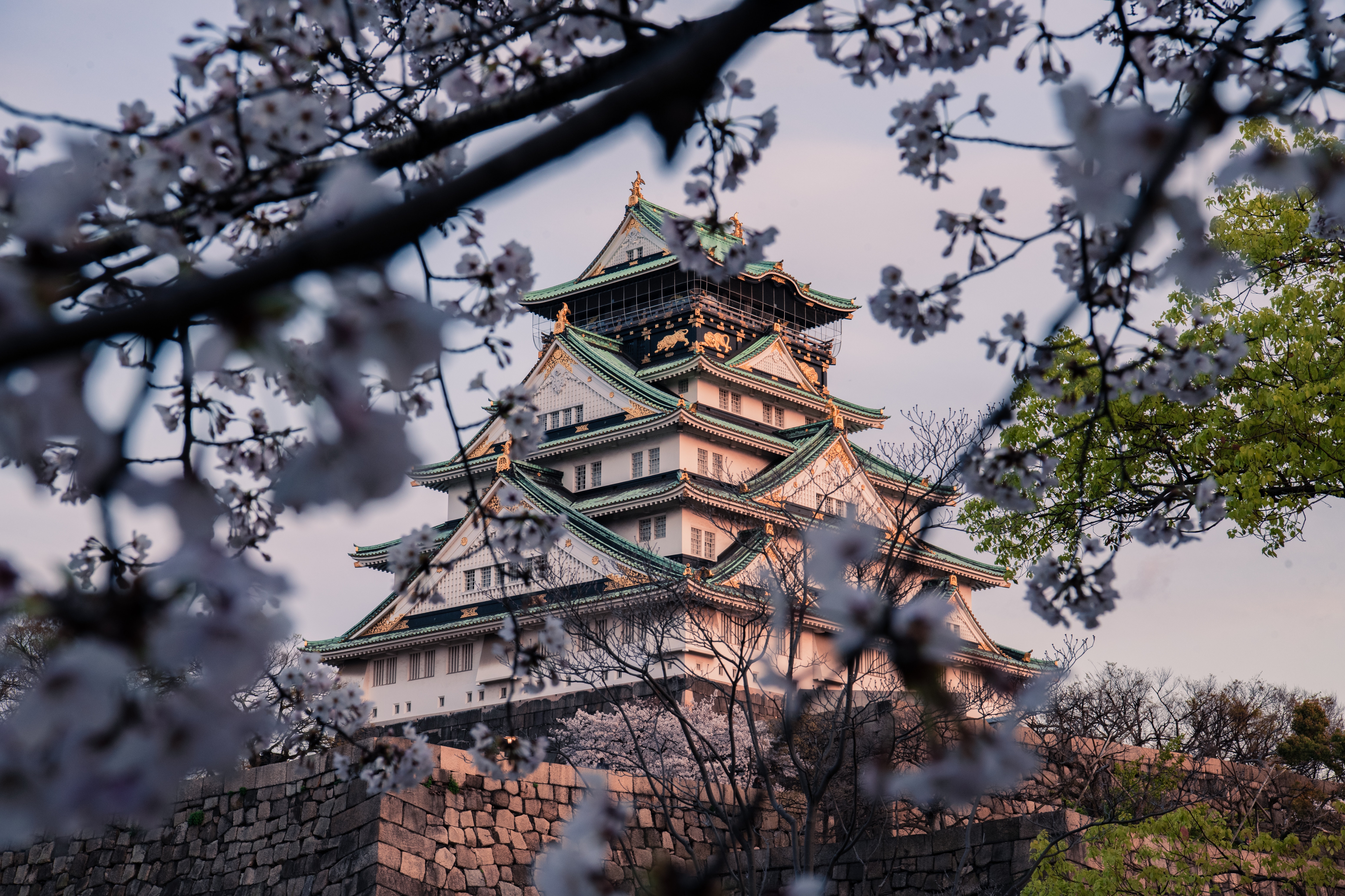Osaka Castle · Free