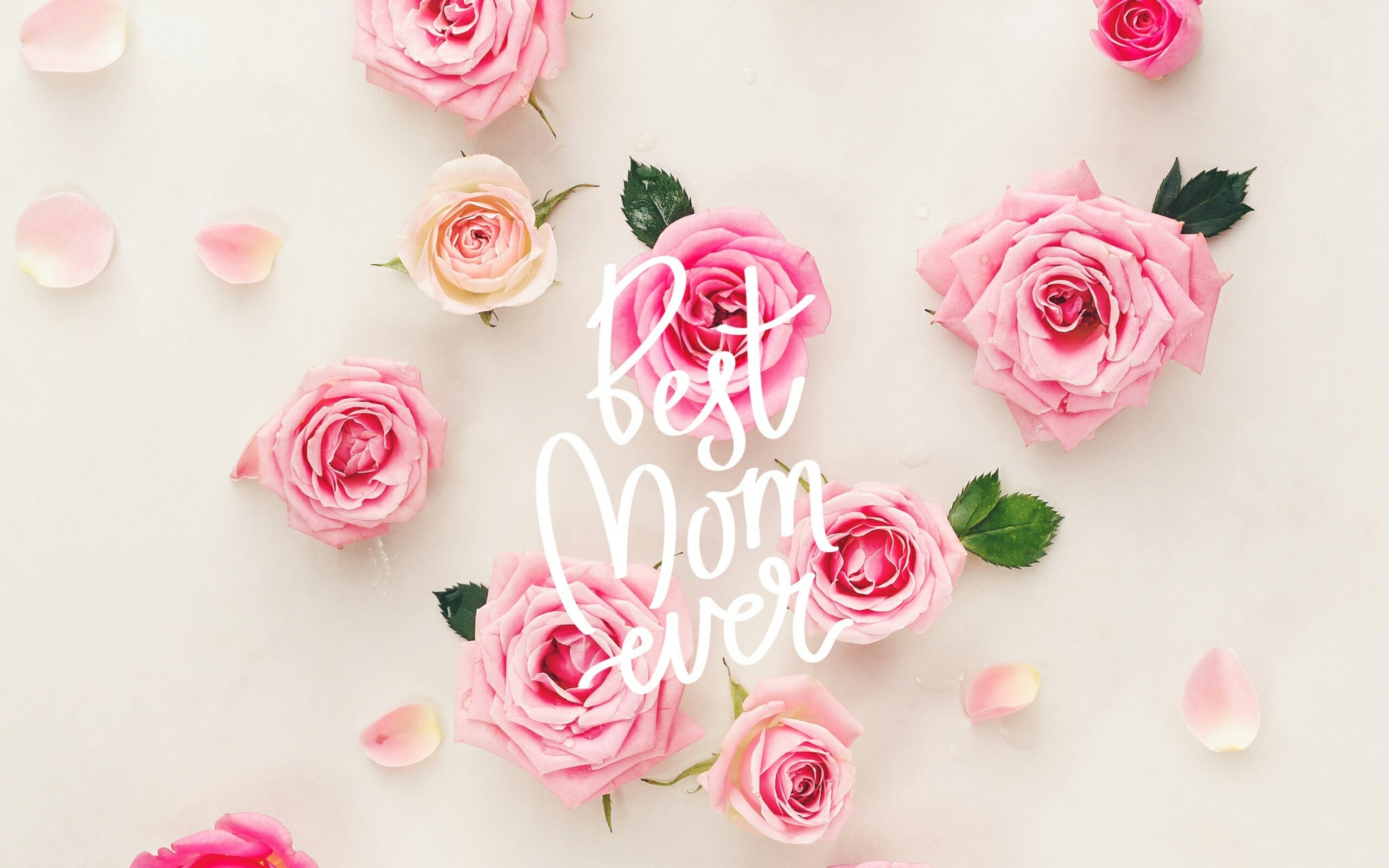 Download wallpaper Best mom ever, Mothers Day, May pink roses, floral background, congratulations for mom for desktop with resolution 2560x1600. High Quality HD picture wallpaper