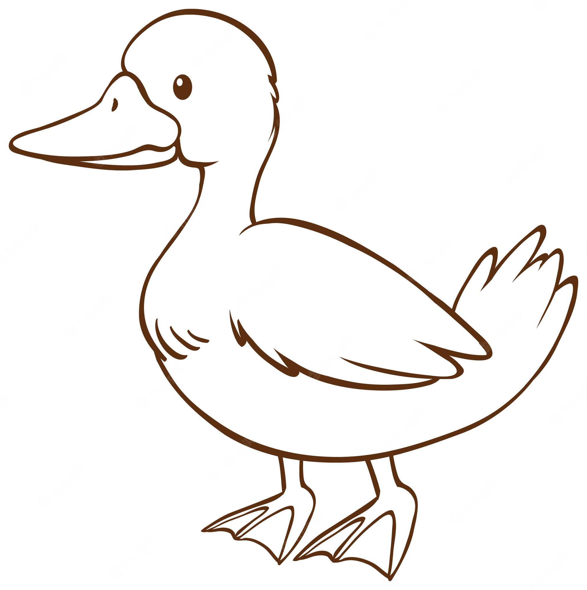 Duck Drawing Wallpapers Wallpaper Cave Duck Drawing Wallpapers Wallpaper Cave