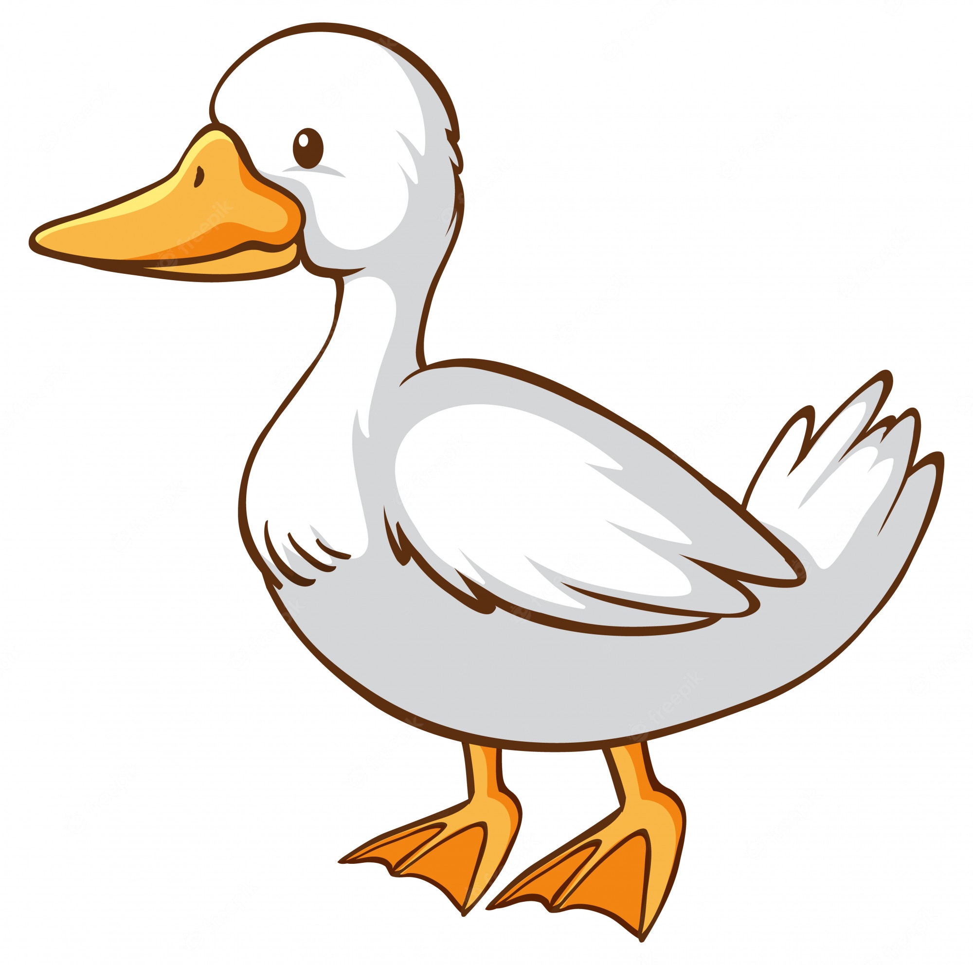 CANADIAN DUCK IN ARGYLE PARK (LIMITED EDITION only 50 copies) - Official  Site of Nadia Nevala
