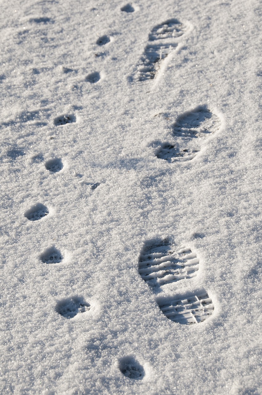 Download free photo of Footprint, snow, impression, winter, human