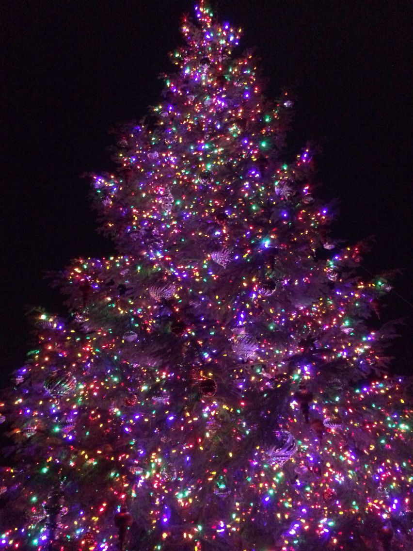 Such a gorgeous tree!. Purple christmas tree, Rainbows christmas, Pink christmas tree