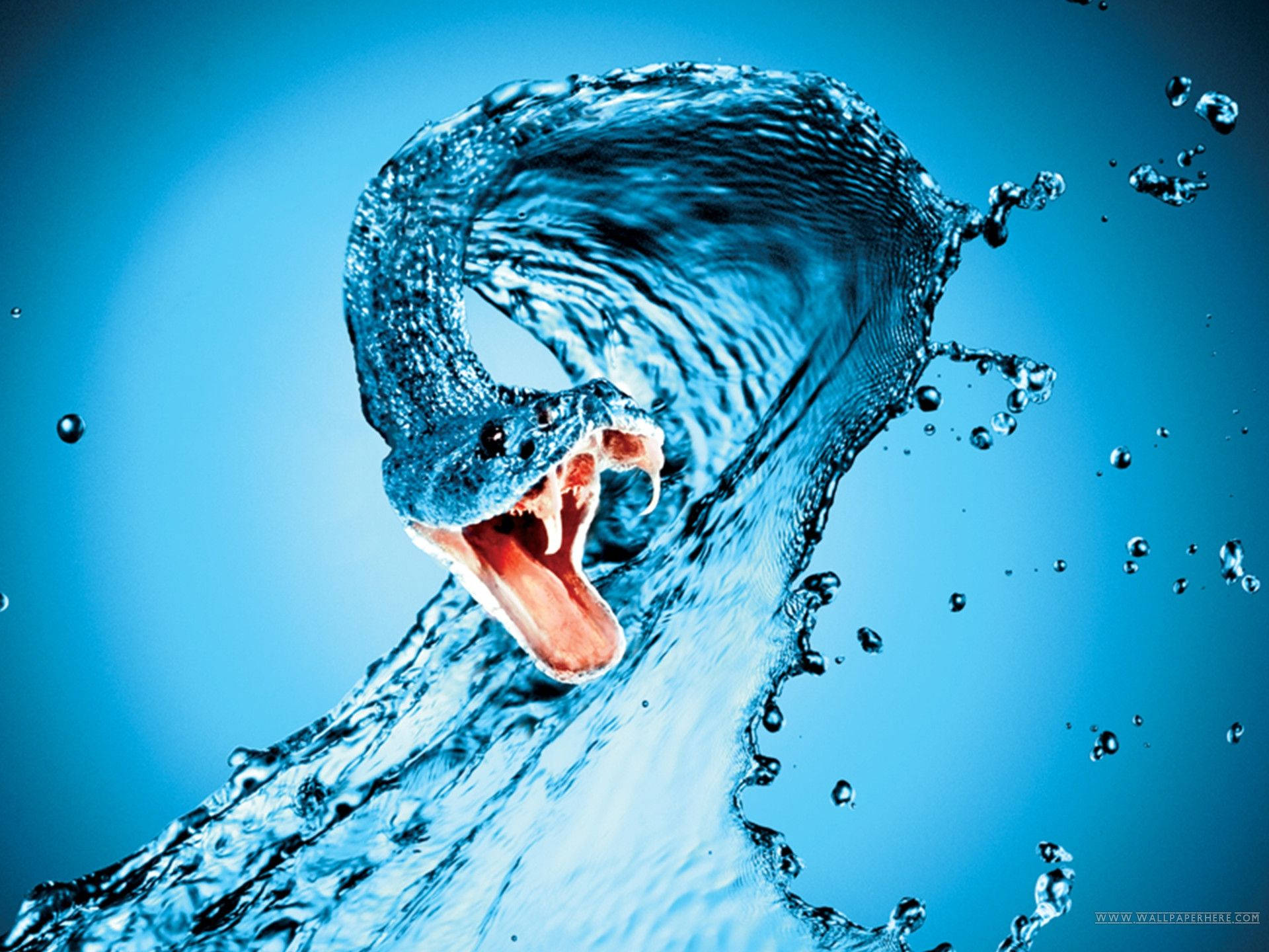 Агрессивная вода