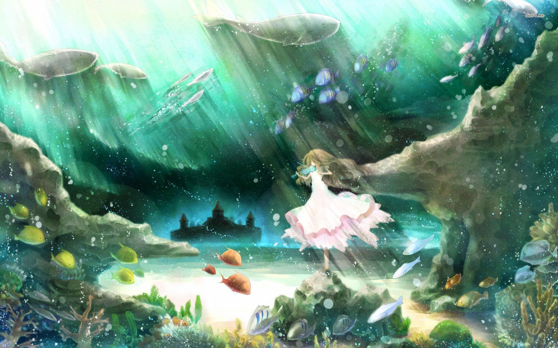 Underwater violinist wallpaper wallpaper - Live wallpaper, Anime, Wallpaper