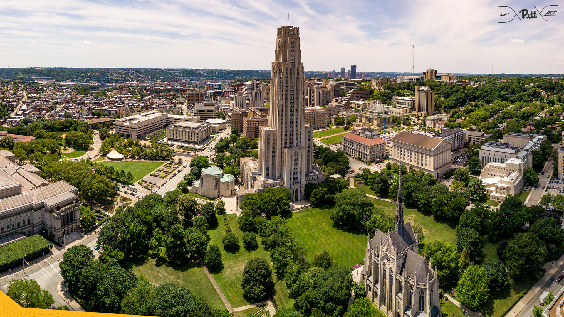 Pitt Zoom Background Panthers #H2P