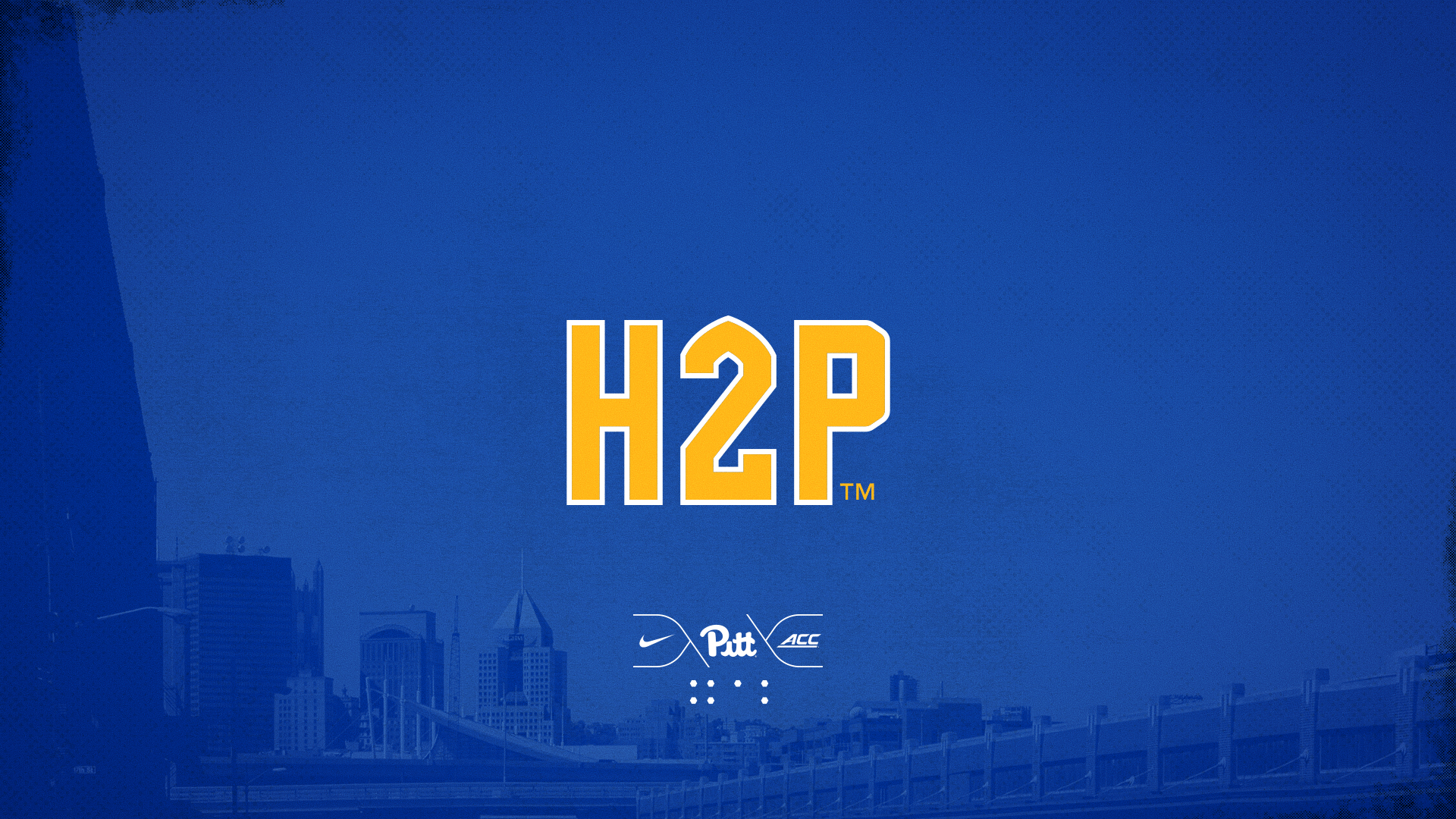 Wallpaper: Mobile and Desktop Panthers #H2P