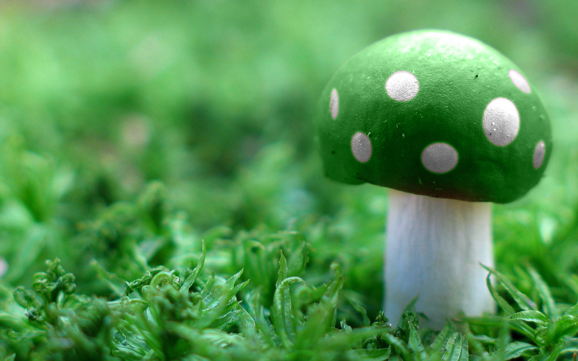 Download Cute Green Mushroom Wallpaper