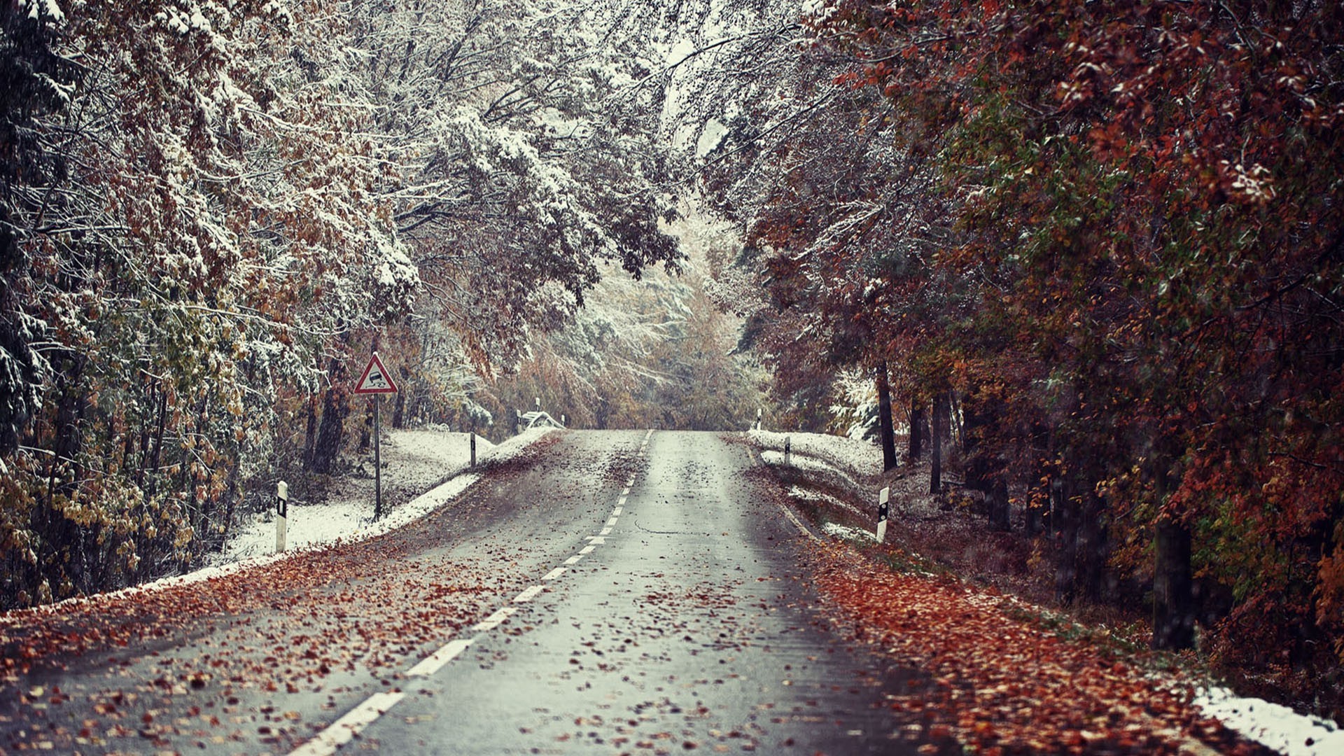 Full HD winter landscape road snow leaves wallpaper