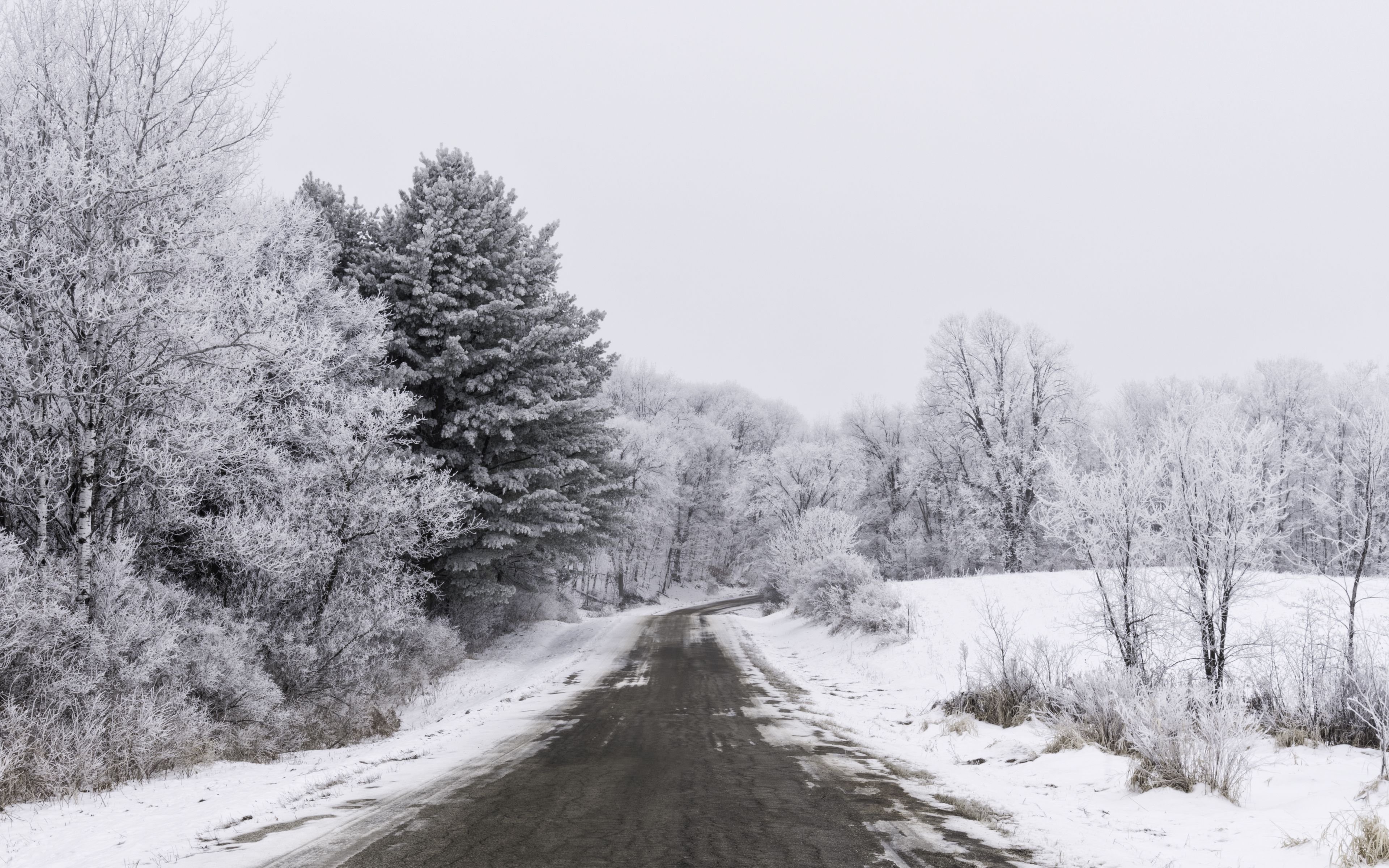 Download wallpaper 3840x2400 road, trees, snow, winter, landscape 4k ultra HD 16:10 HD background