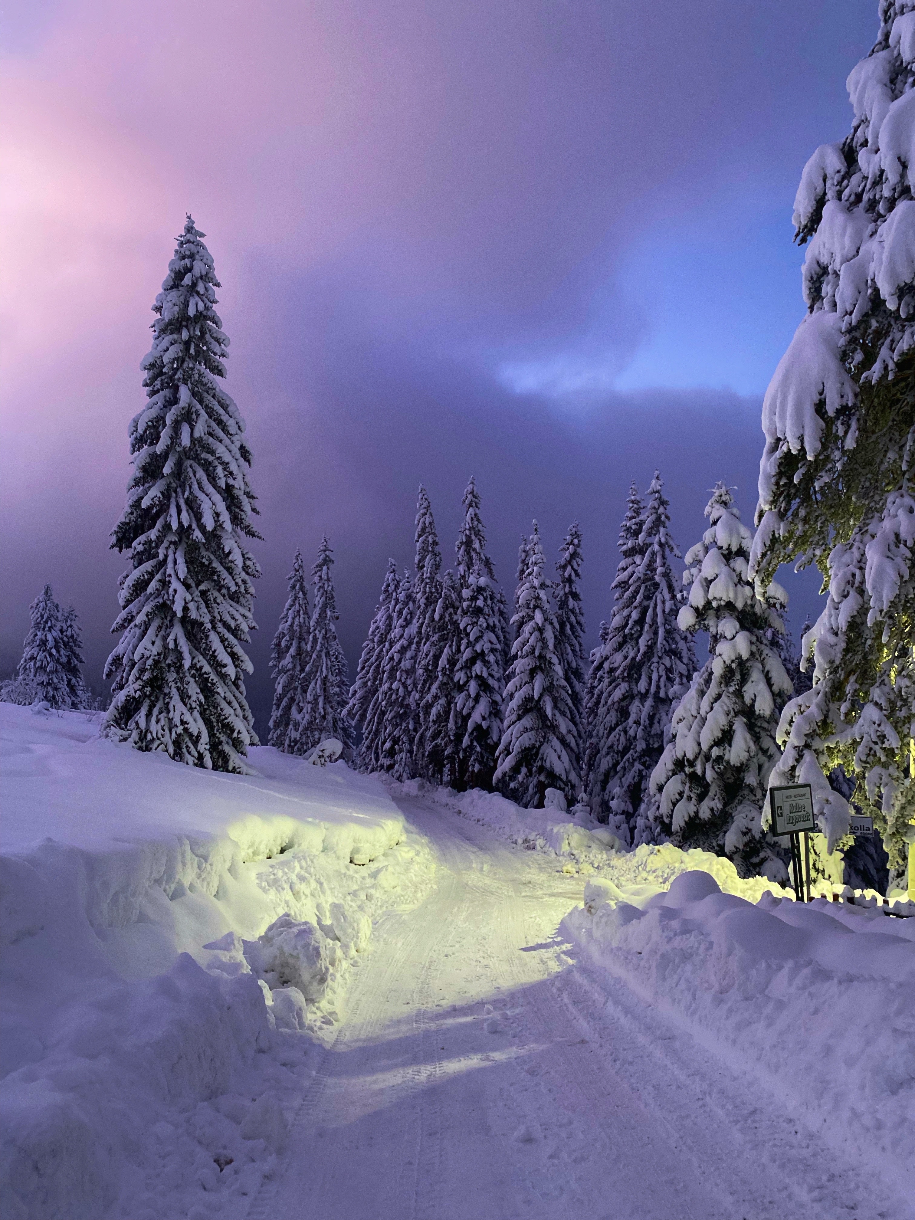 Winter Landscape at Dusk · Free