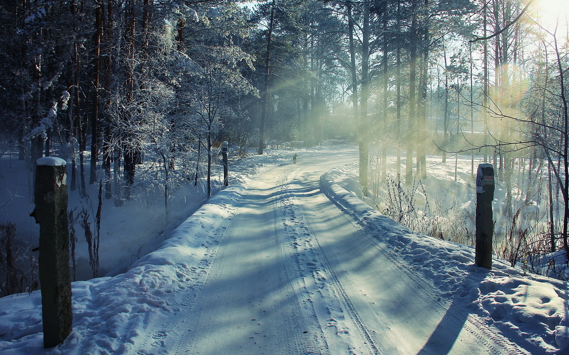 Mobile wallpaper: Landscape, Winter, Trees, Roads, Snow, 22429 download the picture for free